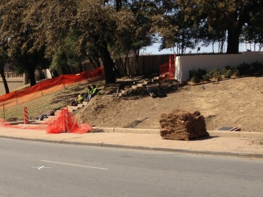 Pic 2: New grass for the Grassy Knoll, just across the Parkway